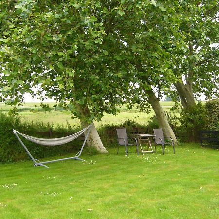 De Stjelp Pleats Bed & Breakfast Lemmer Dış mekan fotoğraf